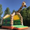 Bouncer standard giraffe with roof