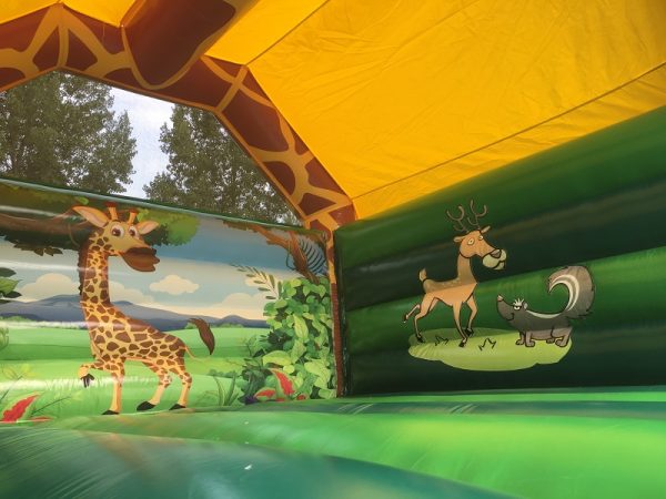 Buy bouncy house giraffe