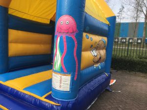 Bouncing castles with roof for sale