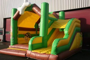 Buy Multifun with roof and slide
