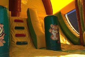 Jungle theme bouncer tiger and slide