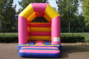 Bouncy castle basic with roof