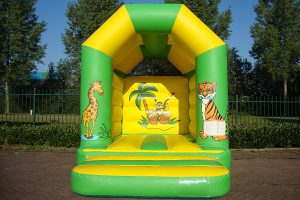 bouncy castle mini jungle with roof