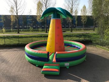 Custom Palm Tree Climbing Tower