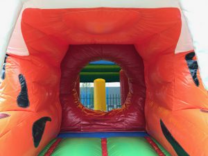 Bouncy castle multiplay tiger with roof