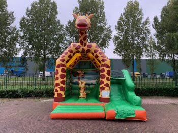 Bouncer Multifun mini Giraffe