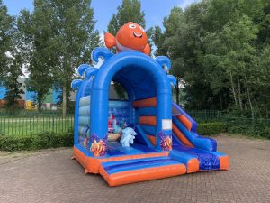 Bouncy castle Multifun mini sea world