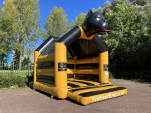 Springkussen hond kopen