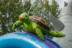 Double big slide shark