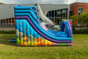 Double big slide shark