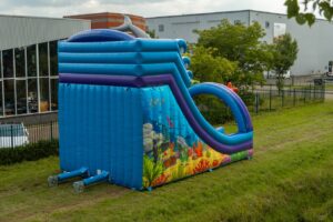 Double big slide shark