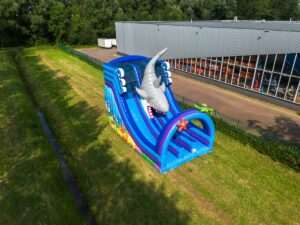Double big slide shark