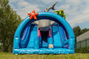 Double big slide shark