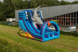 Double big slide shark