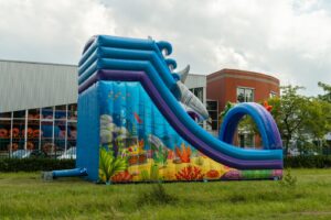 Double big slide shark