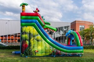 Double big slide crocodile