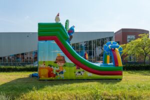 Double big slide birds