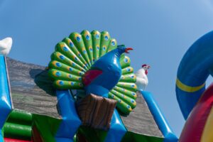 Double big slide birds