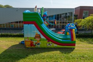 Double big slide birds