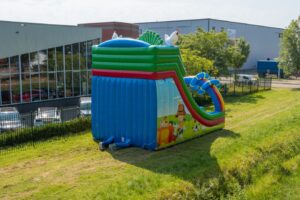 Double big slide birds