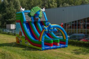 Double big slide birds