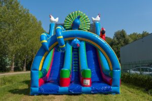 Double big slide birds