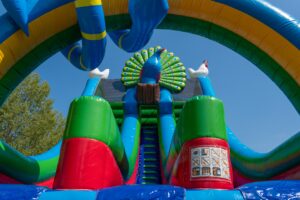 Double big slide birds