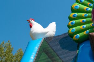 Double big slide birds