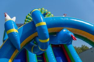 Double big slide birds