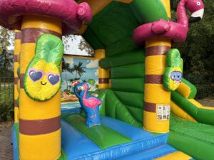 Multifun mini paradise