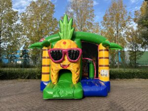 Multiplay Mini paradise