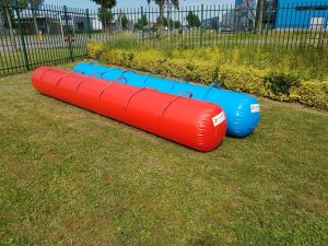 Giant Skippy Ball Adult set