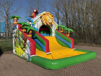 Compact Slide Jungle