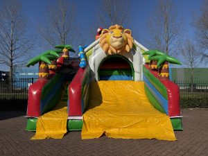 Compact Slide Jungle I