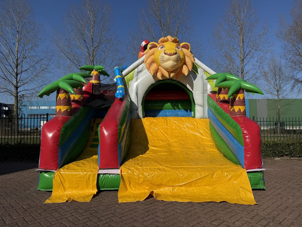 Compact Slide Jungle I