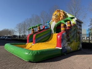 Compact Slide Jungle II