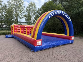 Custom Human Shuffleboard Fun Pro